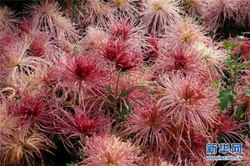 20181007160142JFFDVK