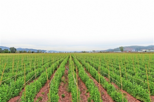 2018100803_res07_attpic_brief