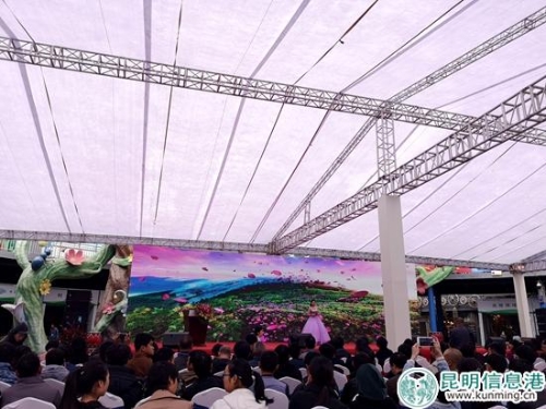 农业博览会斗南分会场1