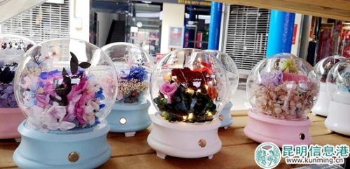 农业博览会斗南分会场8