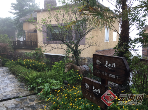 00300149181_14181315