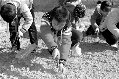 f283bbad-3e8a-48bd-ac0d-983cbbc6a21b