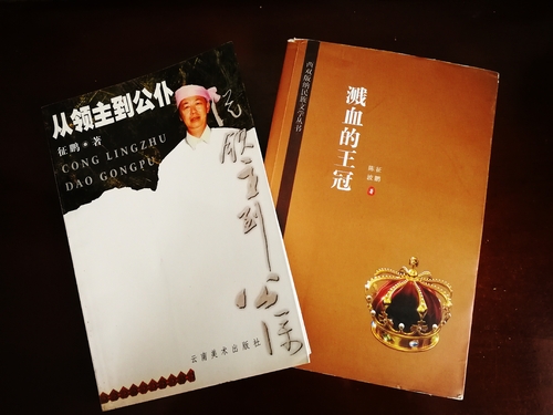 傣族小说家征鹏的作品