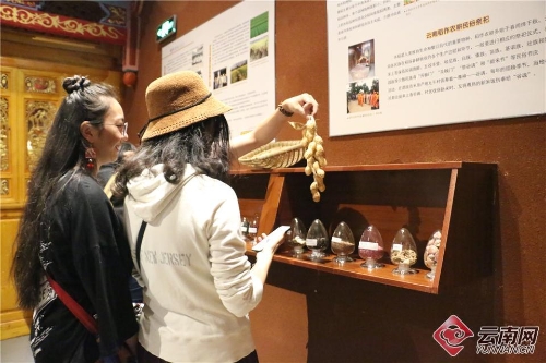 00300156133_9db33665 00300156133_9db33665