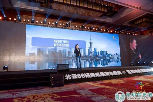 中国财经评论家叶檀