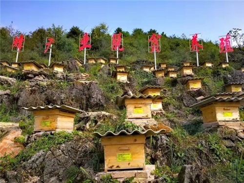 20181024093007844 20181024093007844