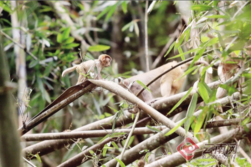 00300162441_a36bf406 00300162441_a36bf406