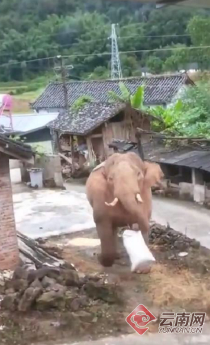 00300167798_fa232d33