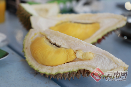 00300166217_cec52681