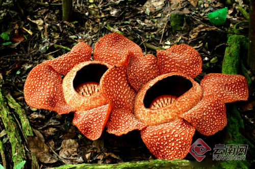 00300166206_11ff83c0