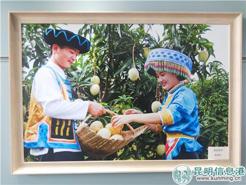 展示作品02 展示作品02