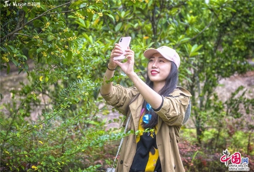 7c89b86d-e720-43dd-b080-3b54370c2ad9_batchwm