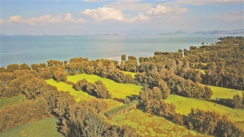 2018110107_res11_attpic_brief