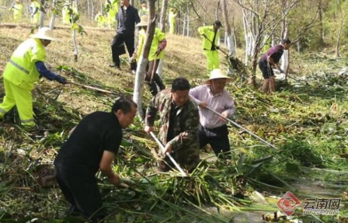 00300182262_5528ad74