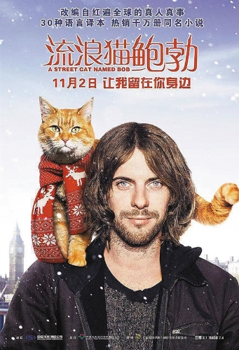 ycwb4702702_dzzzz6_1541412062003_b