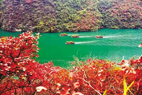 8c20e825-c752-49da-b7de-b788a5cef0ae 8c20e825-c752-49da-b7de-b788a5cef0ae