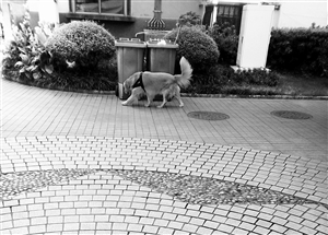 20181114A05_res04_attpic_icon 20181114A05_res04_attpic_icon