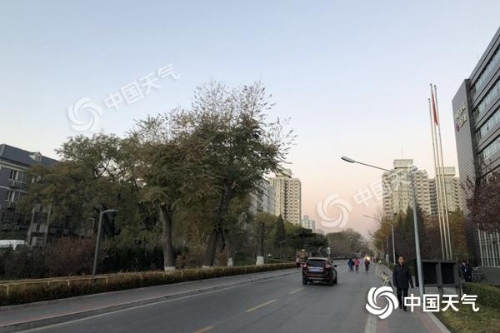 1123751213_15428525101051n