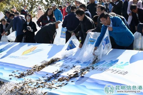 放鱼现场 供图