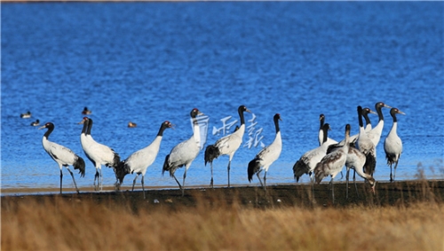 5bf8ac3928d38 5bf8ac3928d38