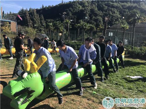 2.训练环节 2.训练环节