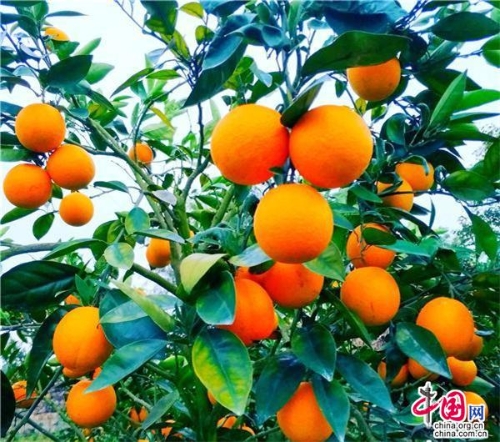 1f449a71-10fe-425e-92f0-781c10673b60_batchwm