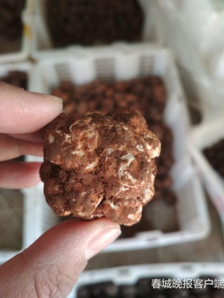 20181126163713Z66CXZ