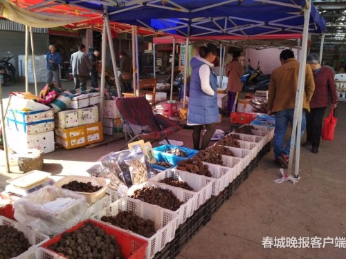 20181126163721RWPG5W