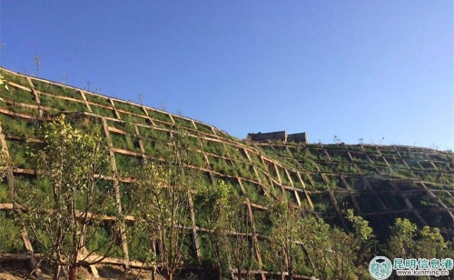 海东绿化 海东绿化