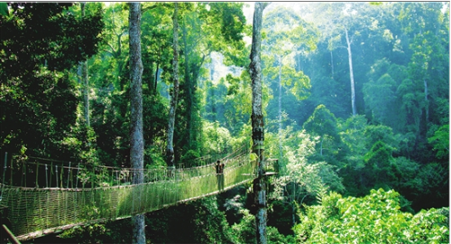 微信截图_20181128103914 微信截图_20181128103914