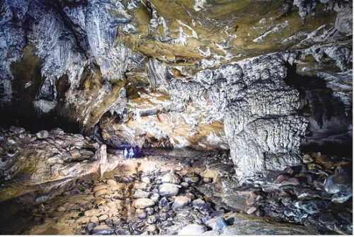 微信截图_20181128104008 微信截图_20181128104008