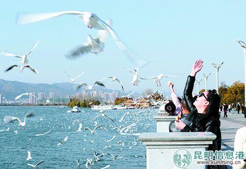 QQ图片20181129084340