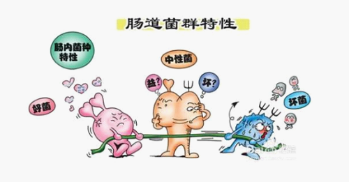 宝宝肠道问题频发，应该如何调理？