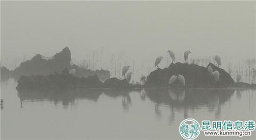 微信图片_20181129192447 微信图片_20181129192447