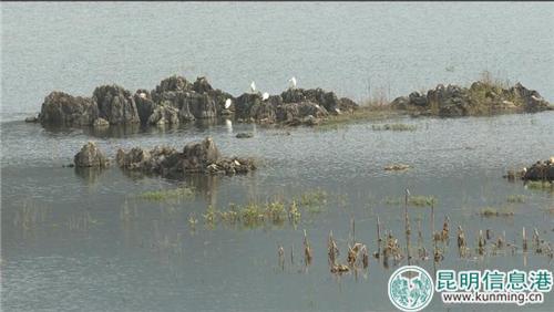 微信图片_20181129192455 微信图片_20181129192455