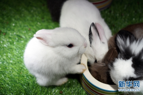 137646098_15438034142871n