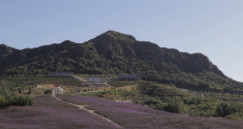 MAIN201810101034000494662403146