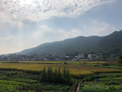 MAIN201811171313000387990855946