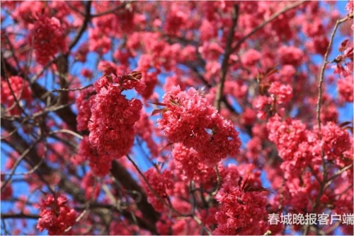 20181203211307TSJ0RC 20181203211307TSJ0RC