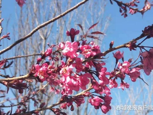 20181203211307U7AG66 20181203211307U7AG66