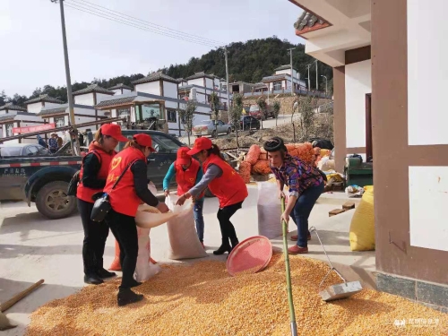 志愿者服务场景 (2)