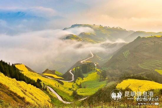 年度佳作奖《爱看罗平的花更爱看罗平的路》 年度佳作奖《爱看罗平的花更爱看罗平的路》