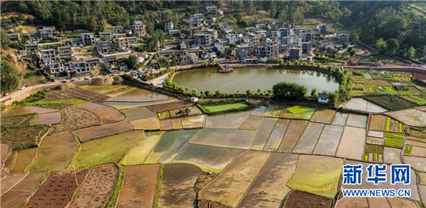 137683908_15452023344761n