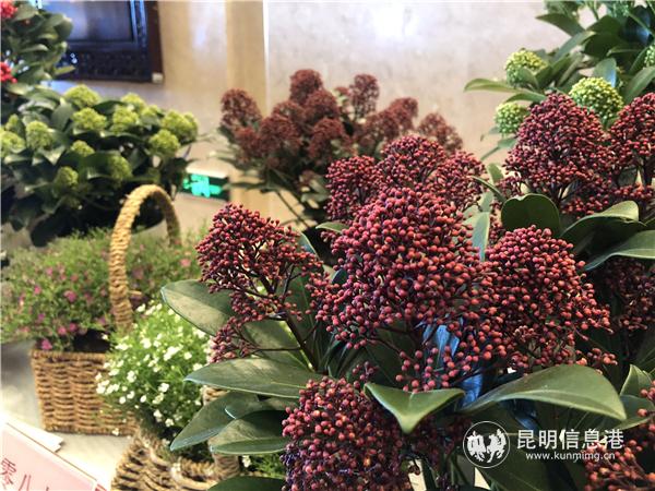 微信图片_20181220142850