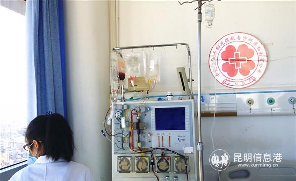 造血干细胞采集 造血干细胞采集