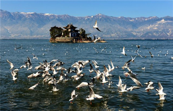 20181207130923L4URY5