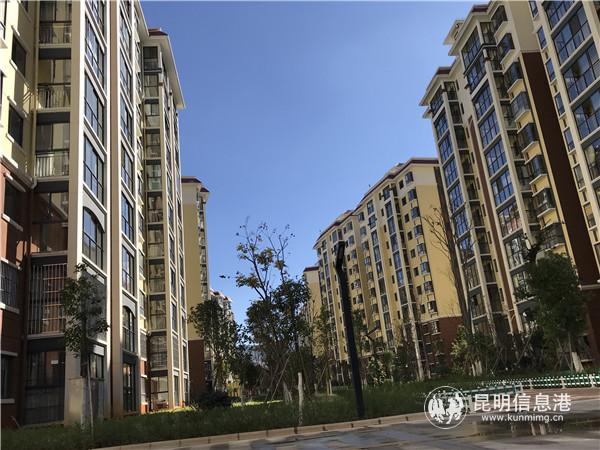 图二 小区内环境优美绿地覆盖率高