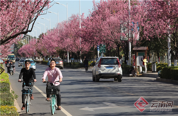 00300270132_6ef6489c