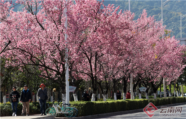 00300270133_0678fd27