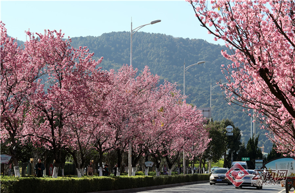 00300270134_96f556ae